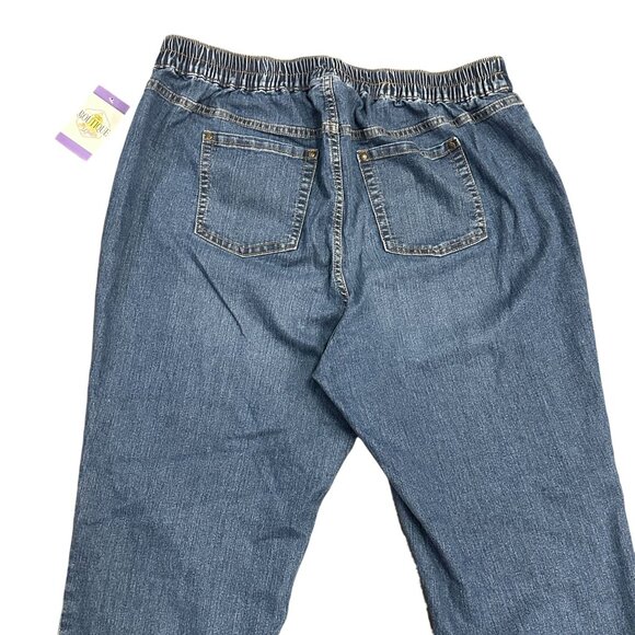 Catherines Timeless Fit Pull On Stretch Jeans (2) 1X Elastic Waist Normcore Mom - Picture 14 of 16